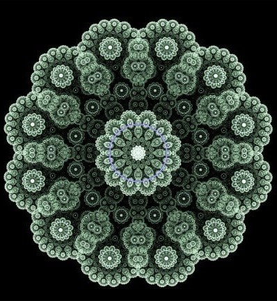 Amir Ali Jabbari smiling in a red plaid shirt and tortoise shell glasses